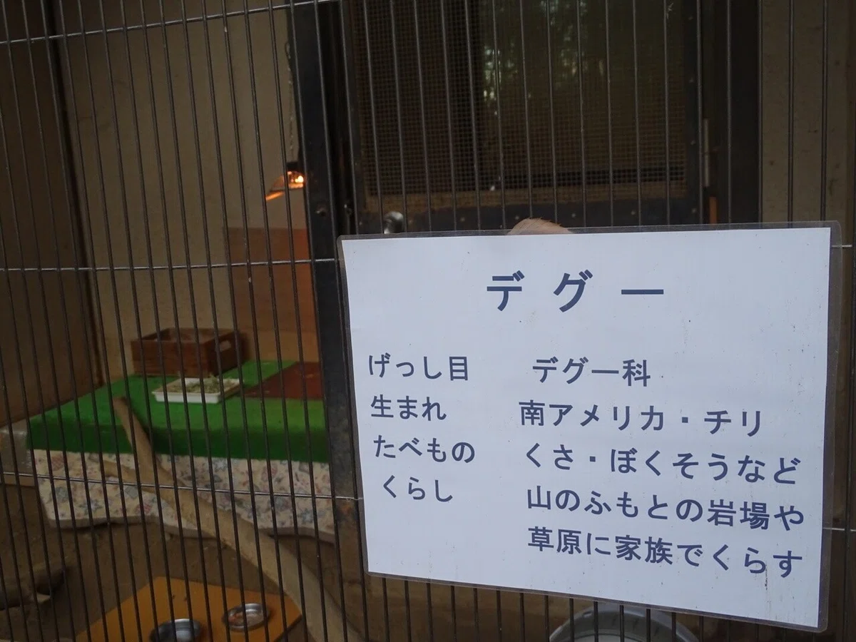 画像51
