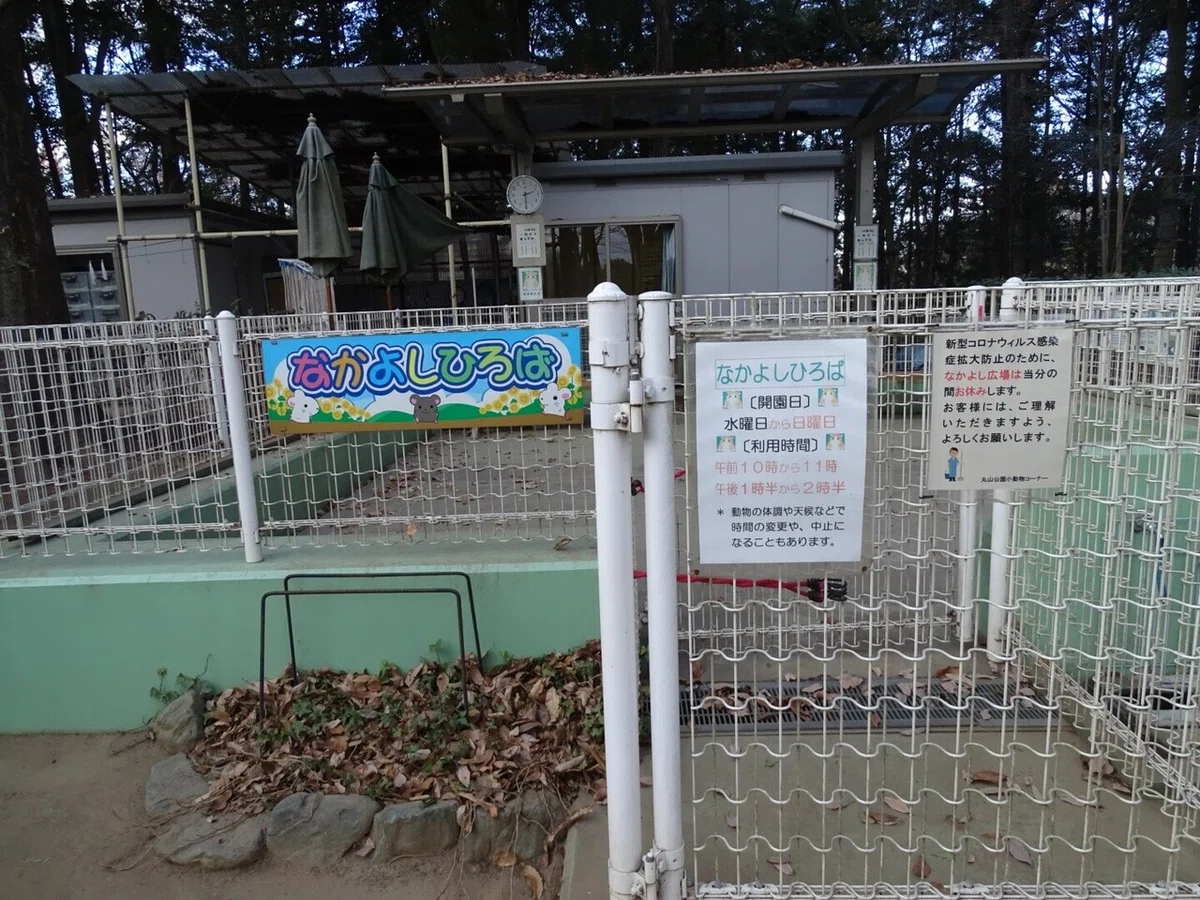 画像50