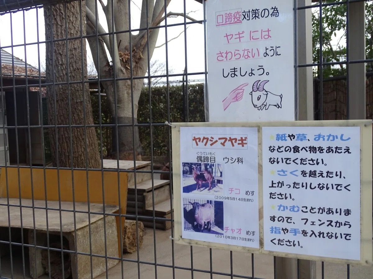 画像52