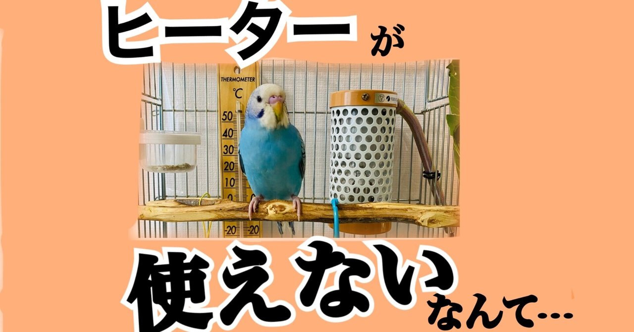 インコの防寒対策 停電時 寒さからどう守るか rina note