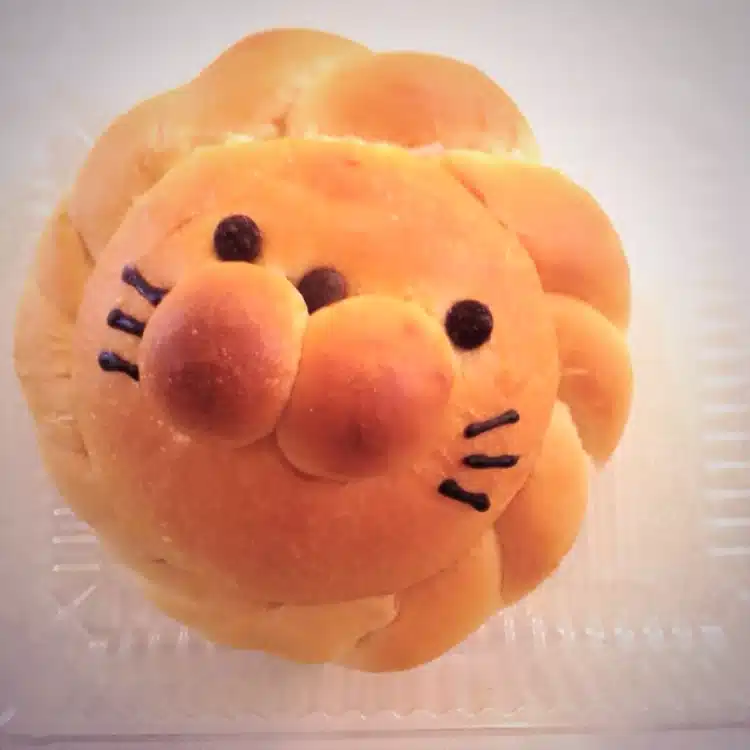 しらたき
