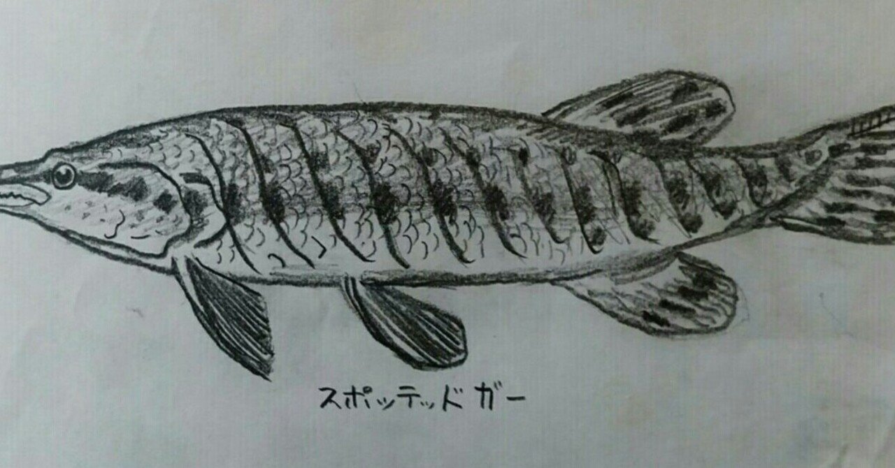 スポッテットガー の新着タグ記事一覧 Note つくる つながる とどける スポッテットガー の新着タグ記事一覧 Note つくる つながる とどける