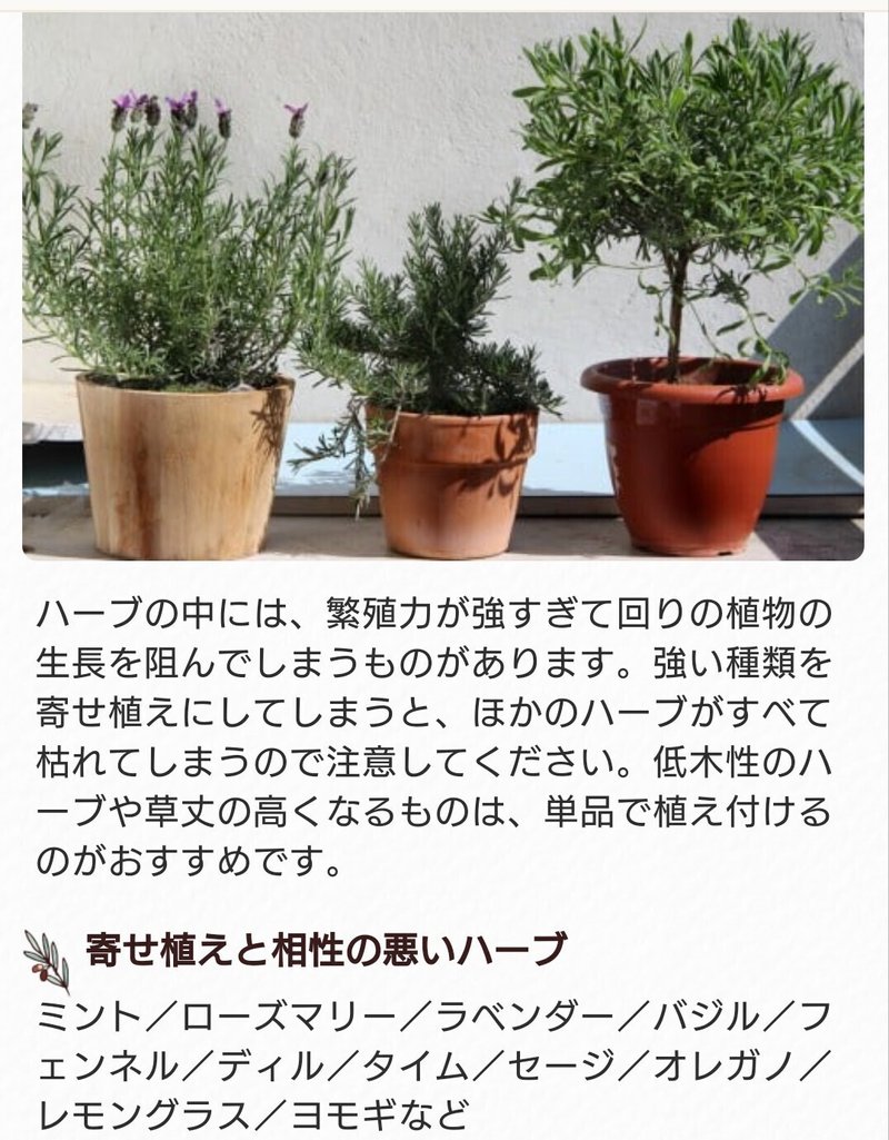 ハーブの寄せ植えについて あなごきょうりゅう Note