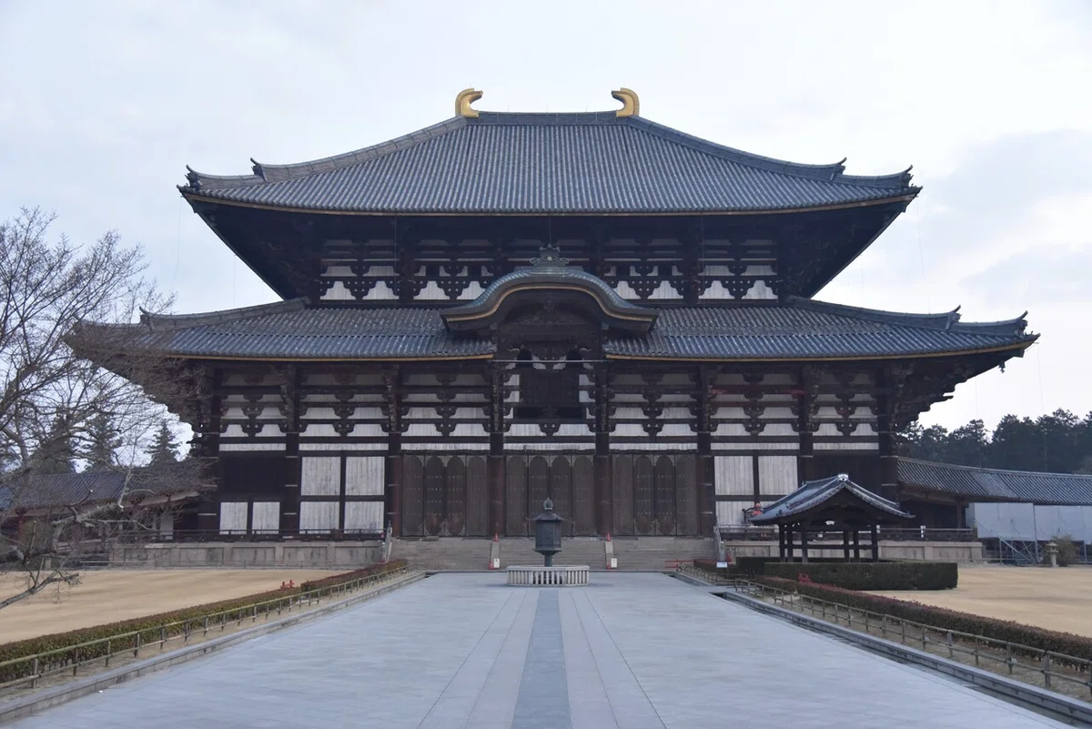 画像77