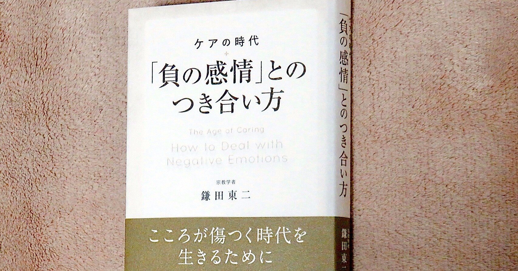 鎌田東二 ケアの時代 負の感情 とのつき合い方 Kaze Note