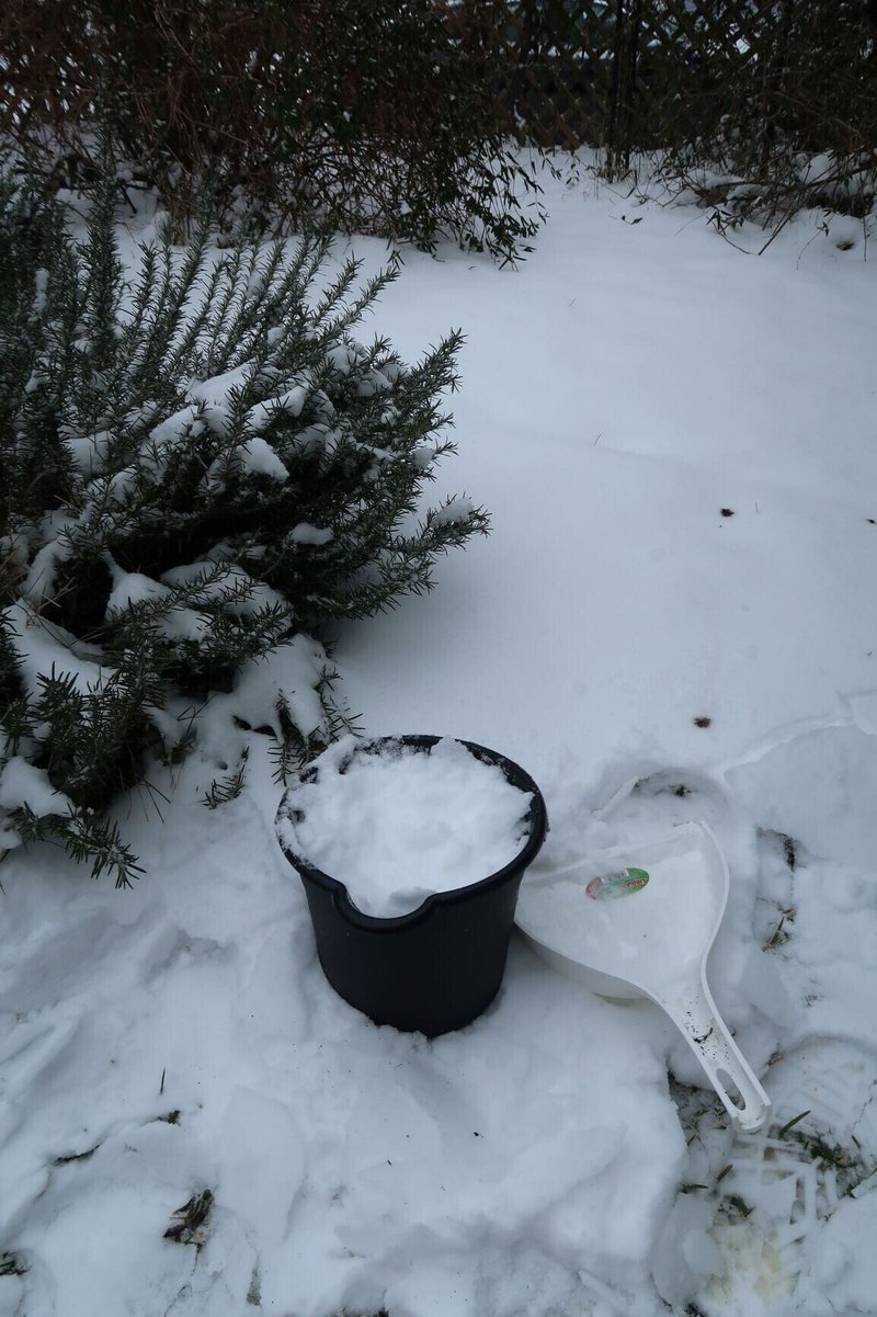 雪集め