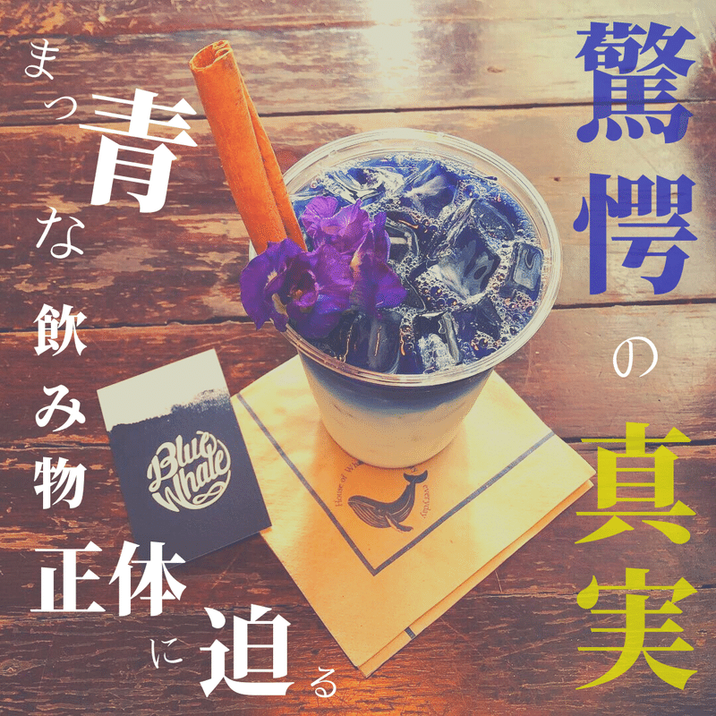 話題沸騰 タイで人気の青い飲み物 バタフライピー の謎に迫る Samahika Blog Note 話題沸騰 タイで人気の青い飲み物 バタフライピー の謎に迫る Samahika Blog Note