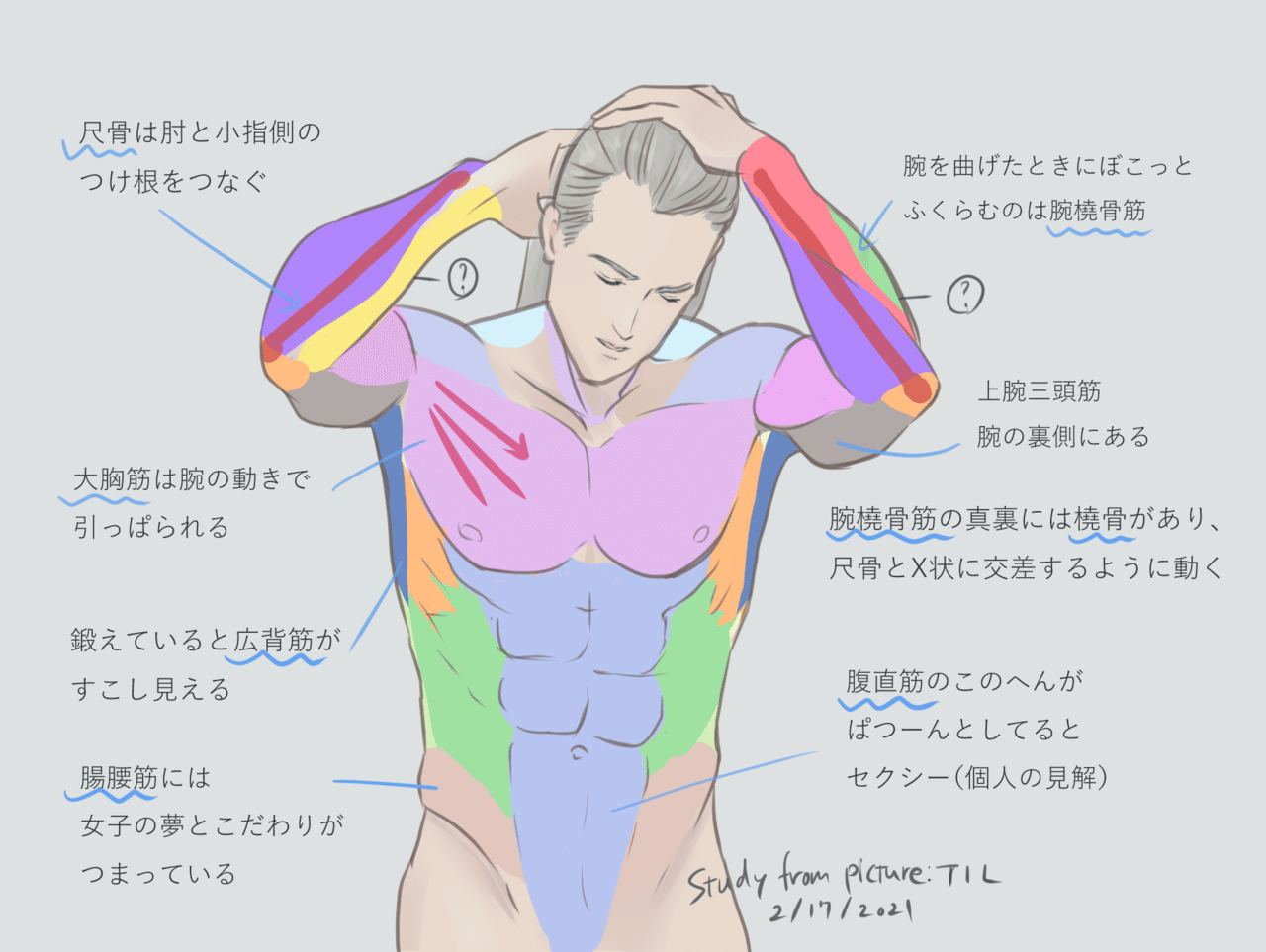 写真からの練習2 17 21 曲げた腕と上半身の筋肉 西フロイデ Note 写真からの練習2 17 21 曲げた腕と上半身の筋肉 西フロイデ Note