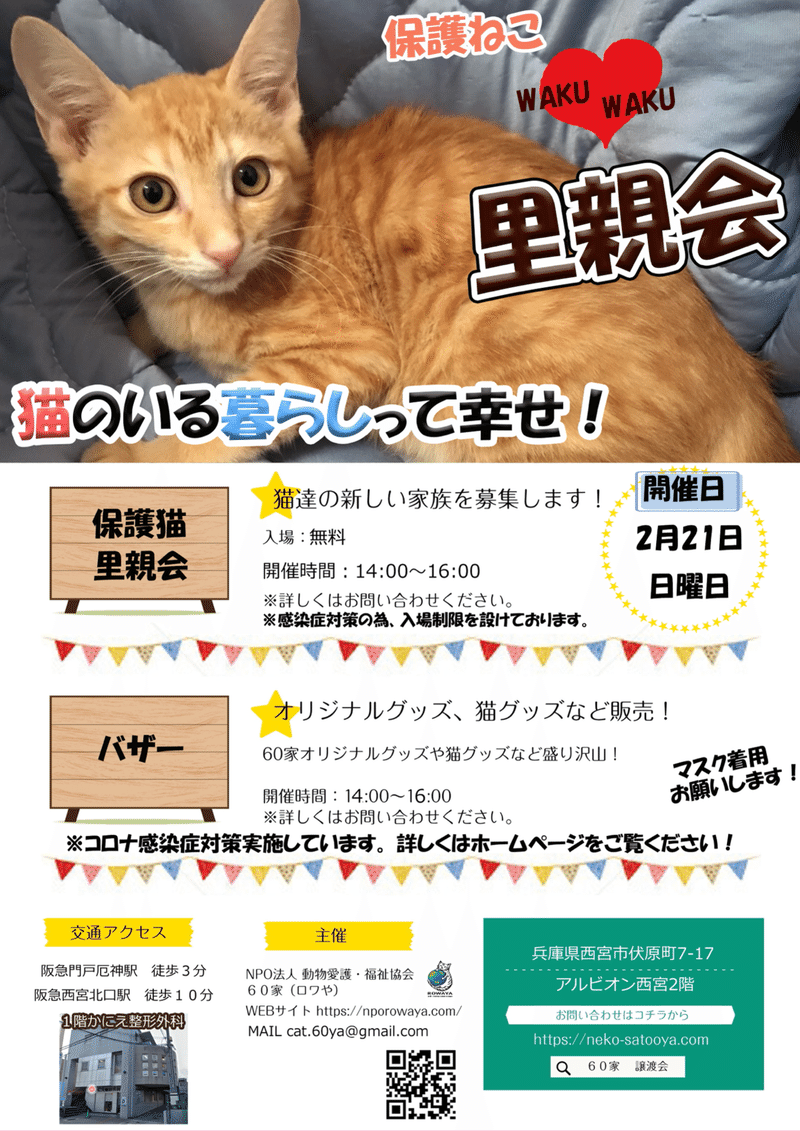 昨日は扁平上皮癌のハクちゃんの通院日でした トップ写真はモザイク処理していません にゃんこの里60家 Note