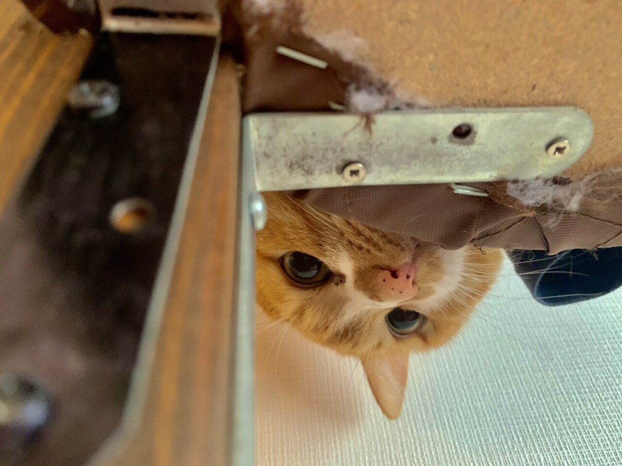 偏愛 あこちゃん Note 偏愛 あこちゃん Note