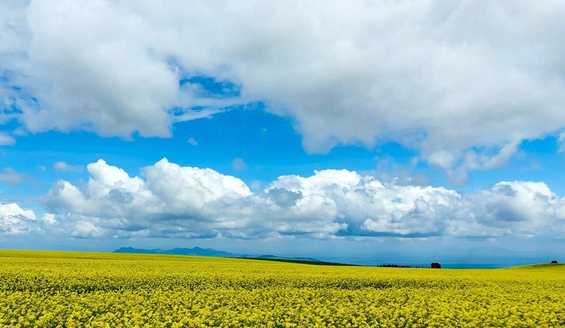 気持ちがラクになる英語フレーズ リーダーにも使ってほしい 解答編 英語ディクテーション Sayaka Kanai 金井さやか 元祖 Toeic満点英語 コーチ イングリッシュキャンプの校長せんせい 英語の先生の先生 Note