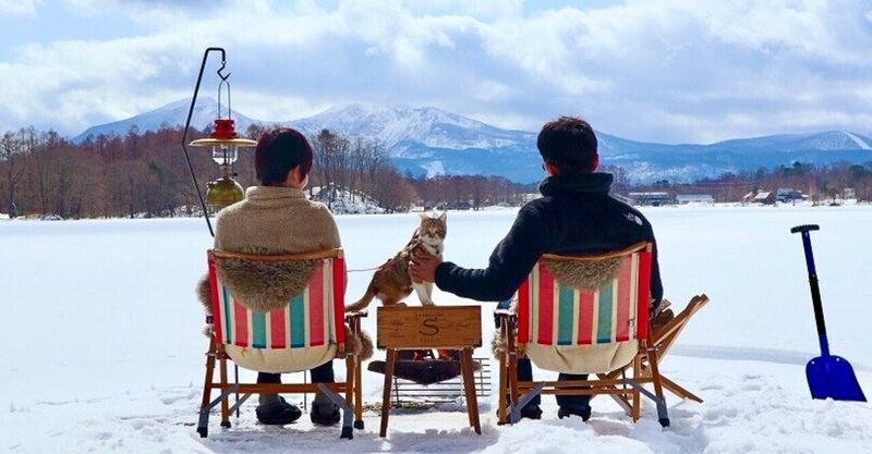 2 22は ネコの日 可愛くて仕方ない ネコキャン投稿集 その他ペットキャンパーさんもご紹介 ソトレシピ シーザスターズ 2 22は ネコの日 可愛くて仕方ない ネコキャン投稿集 その他ペットキャンパーさんもご紹介 ソトレシピ シーザスターズ