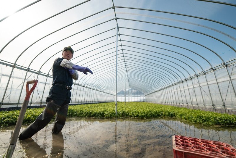 スーツ姿に憧れていた男が伝統野菜 三関せり で地域の農業を盛り上げる話 株式会社cras 奥山和宣 あきたびじょんbreak Note