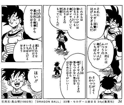 ふつうの超サイヤ人｜IIDA