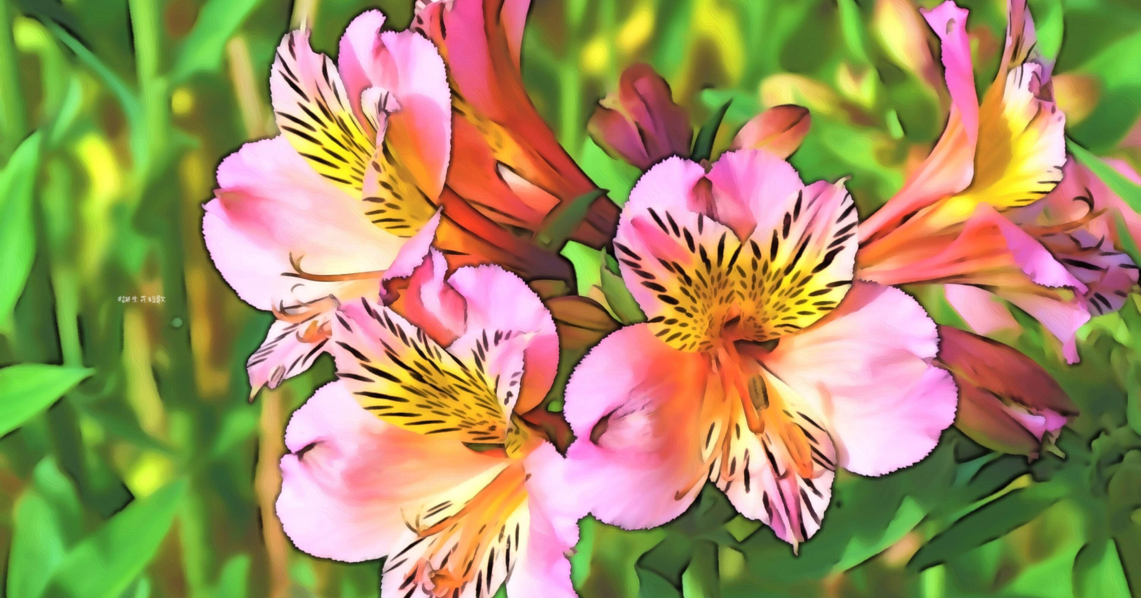 2月18日 誕生花は夢百合草 誕生花短歌 御子柴 流歌 Note