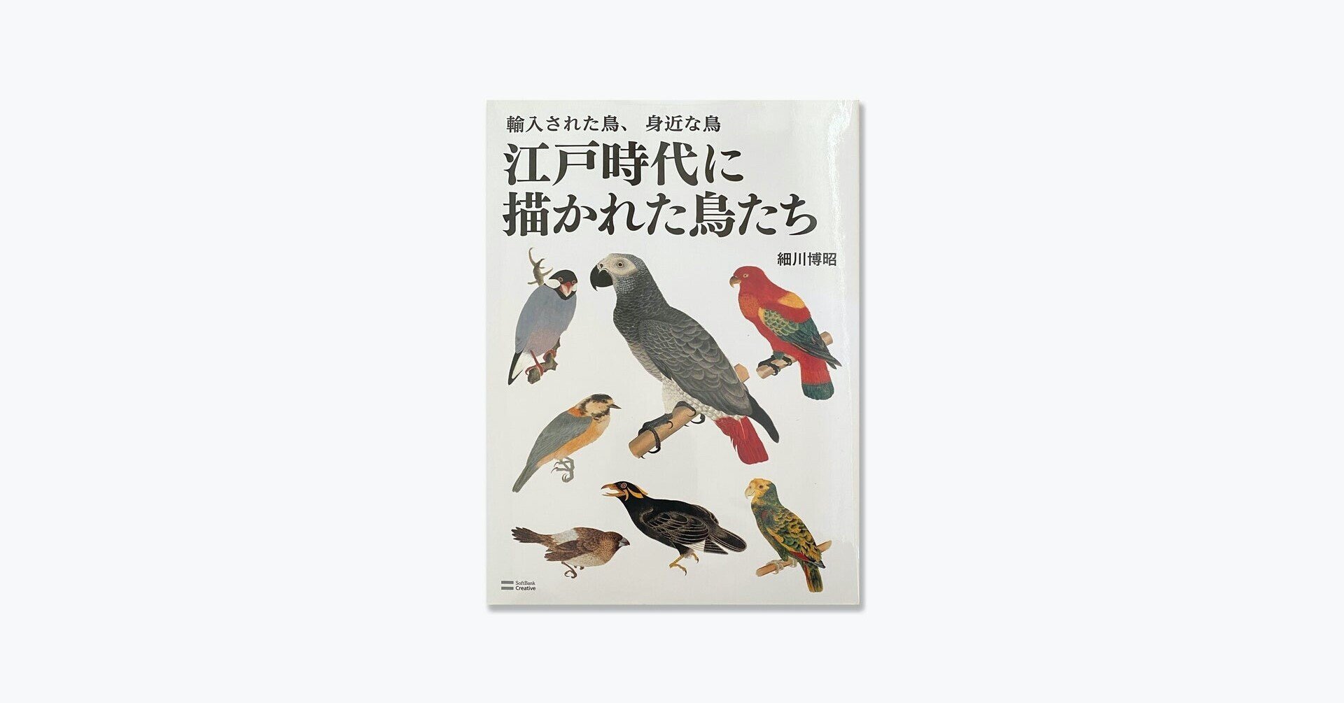 Amazon.co.jp: 鳳凰から野鳥まで幅広く載った当時の貴重な本江戸