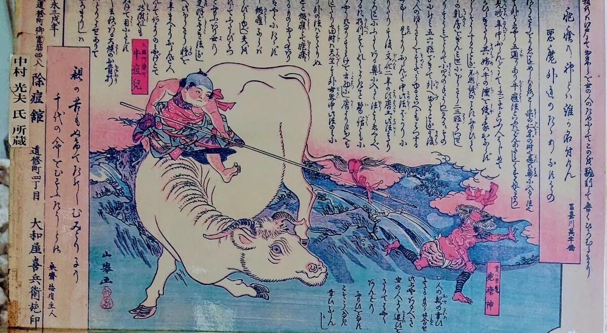 画像8