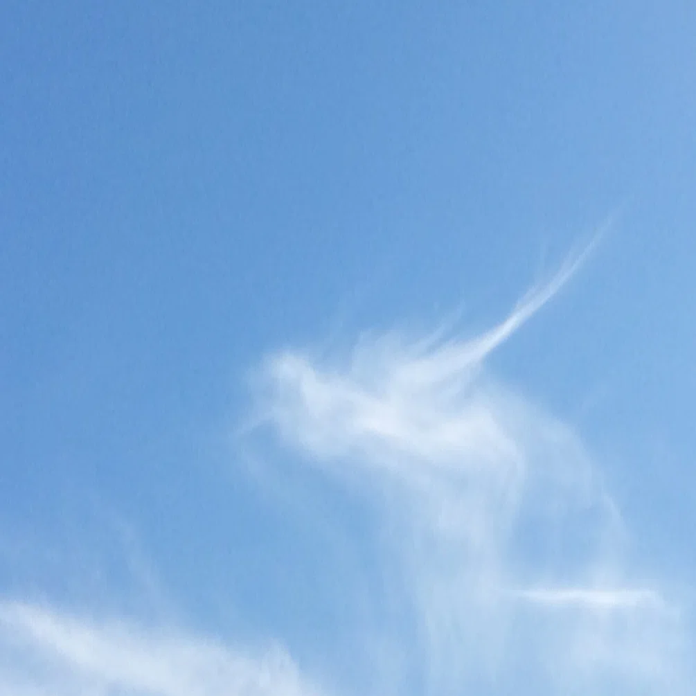 龍雲１ ゆき Note