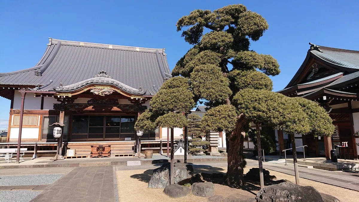 画像5