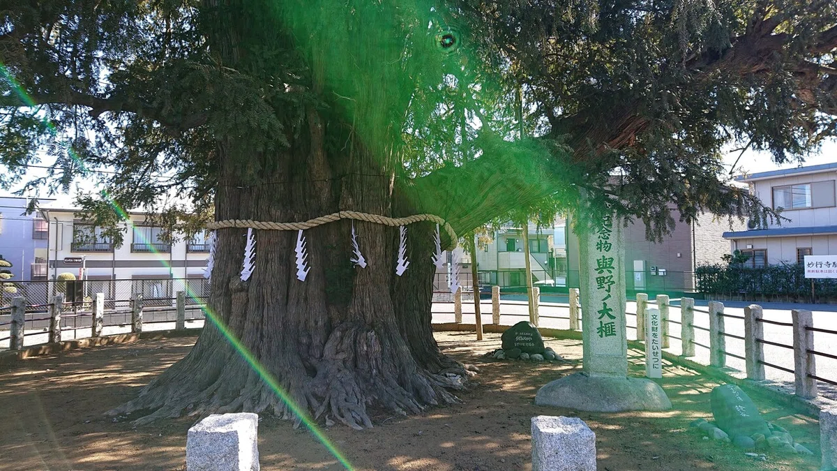 画像9