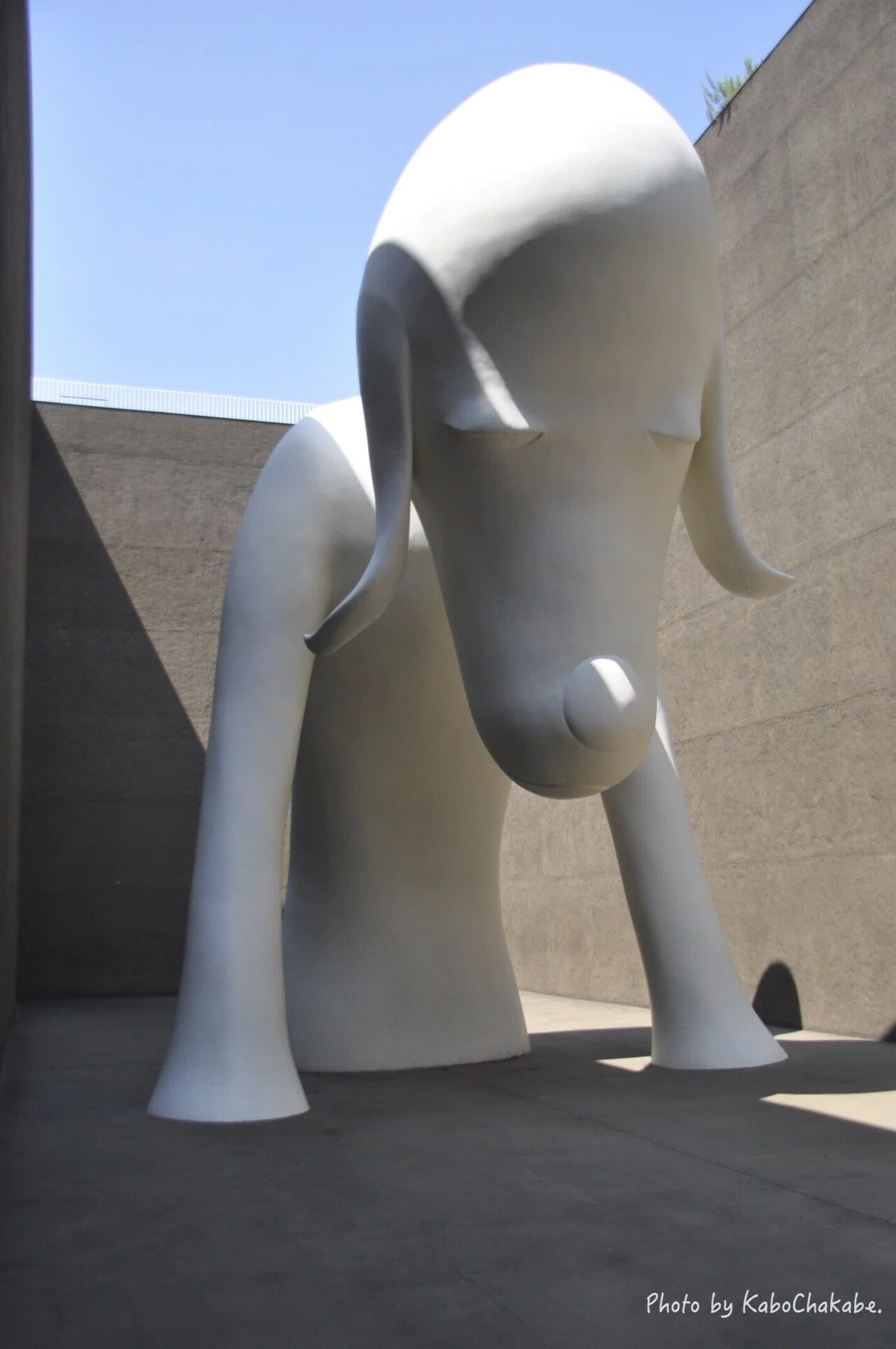 美術館_展示11