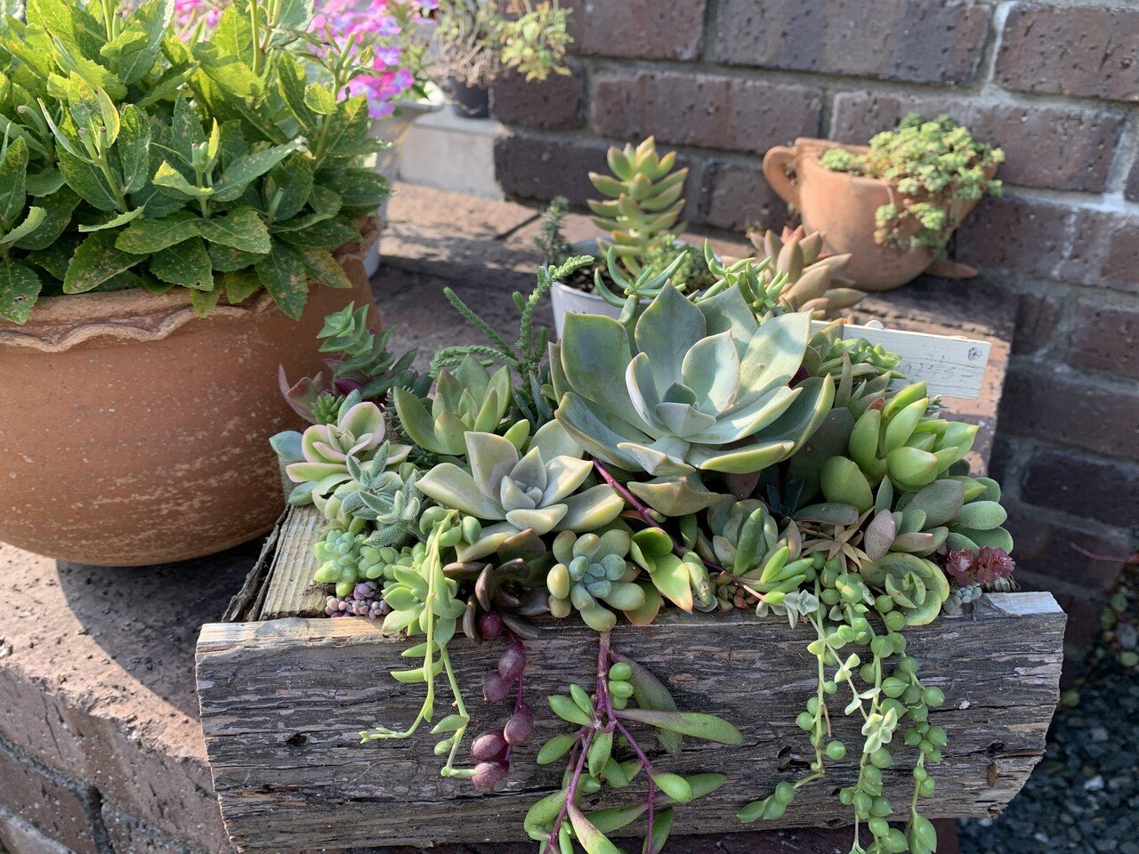 今日も一日お疲れ様でした 多肉の寄せ植えはなんて可愛らしいのでしょう 今日の作品は多肉の寄せ植えです と言いたいところですが 私が作ったのは古ぼけた鉢だけ 年月を経ていい感じにアンティーク風になっ Yuko ハンドメイド クリエイター Note