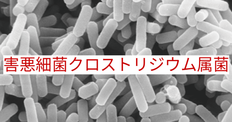 【noteで学ぶ腸内細菌18：クロストリジウム属という害悪細菌】