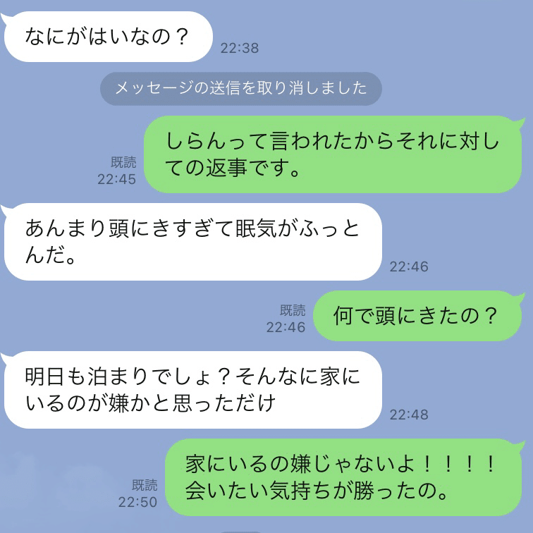 母を怒らせたline さよてん Note