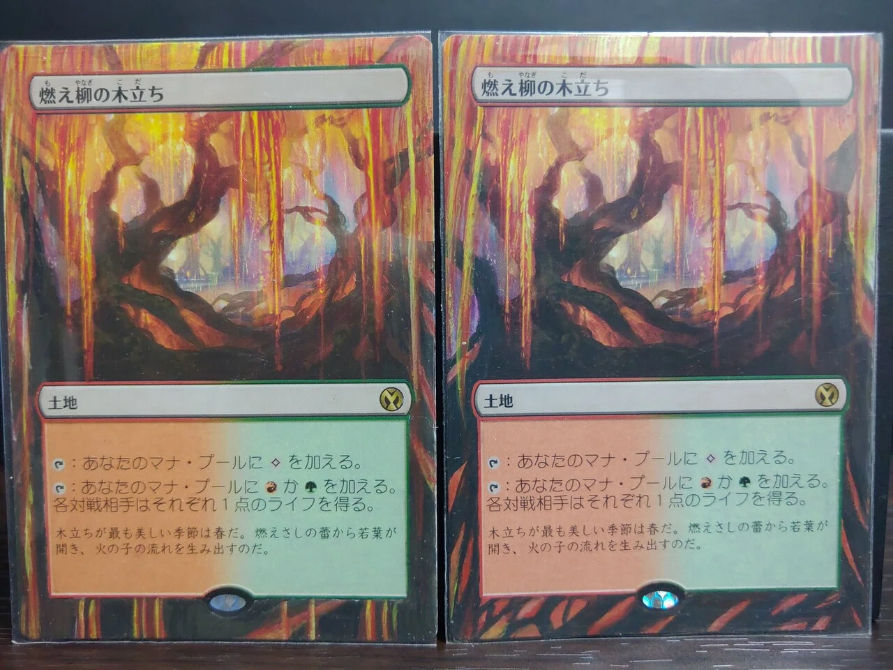 MTG手描き拡張アート録｜Mana Capsule