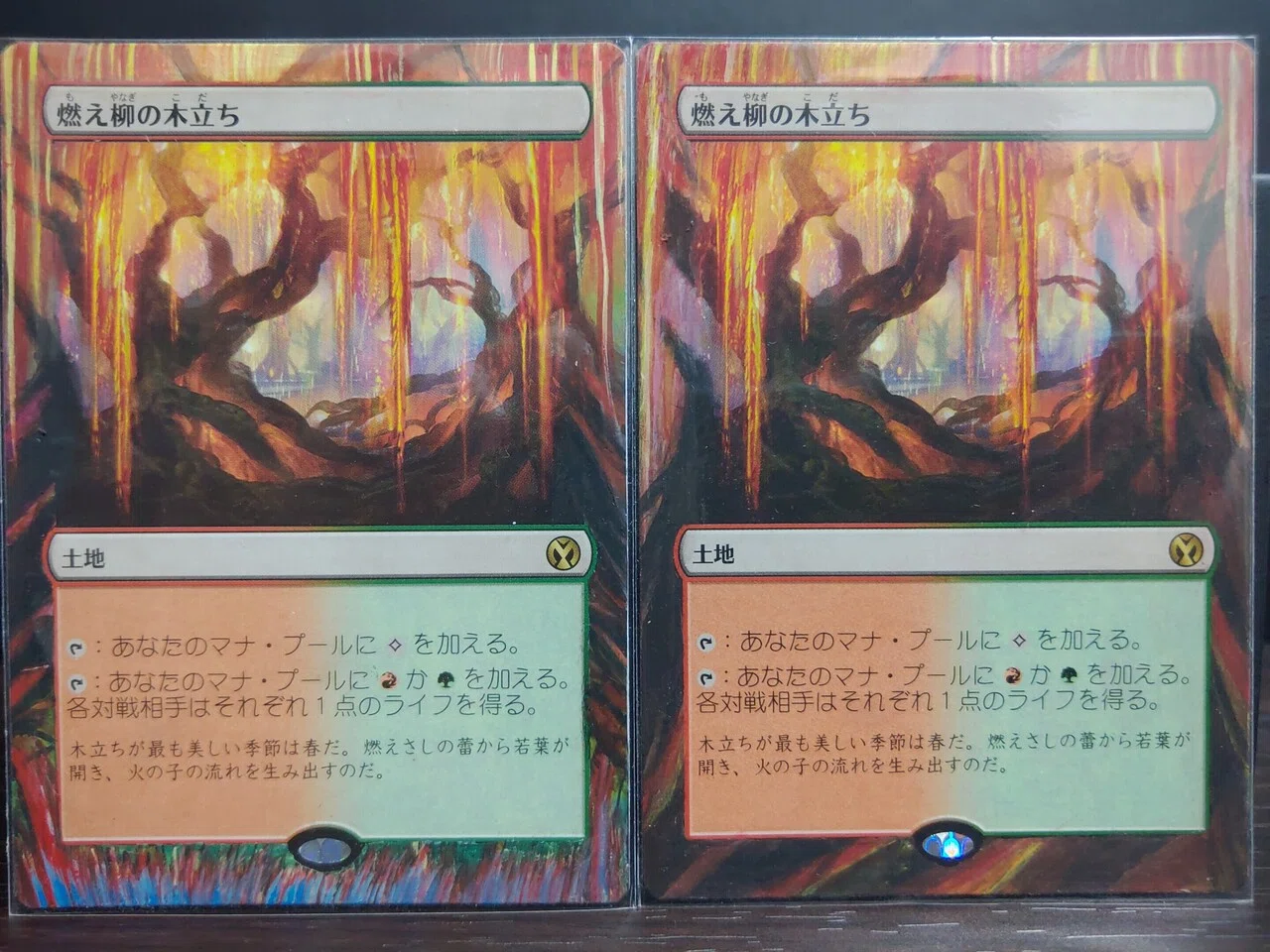 MTG手描き拡張アート録｜Mana Capsule