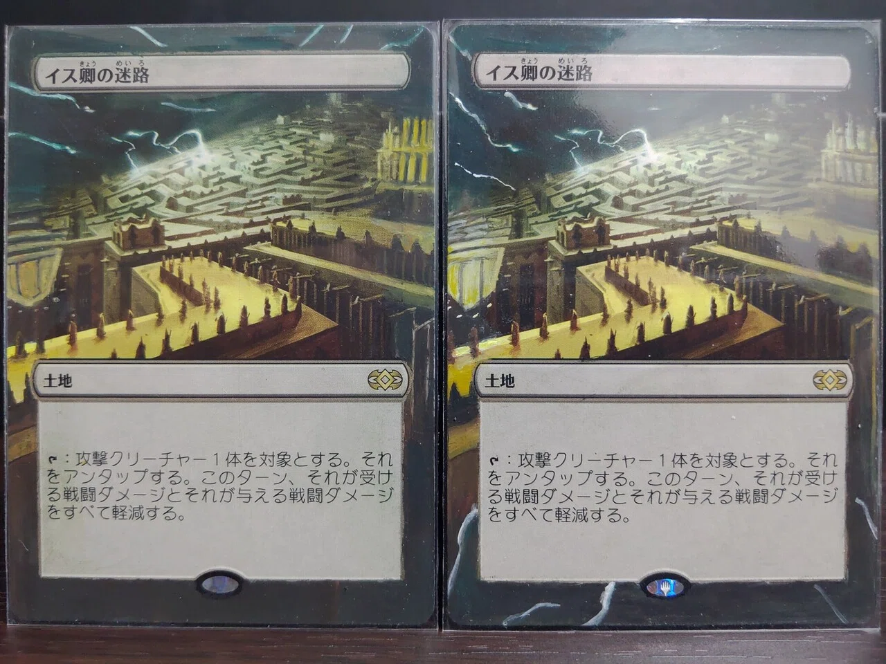 MTG 拡張アート 豊かな在郷　2枚 042)□拡張アート□《豊かな在郷/Abundant Countryside》[ECC] 土地R