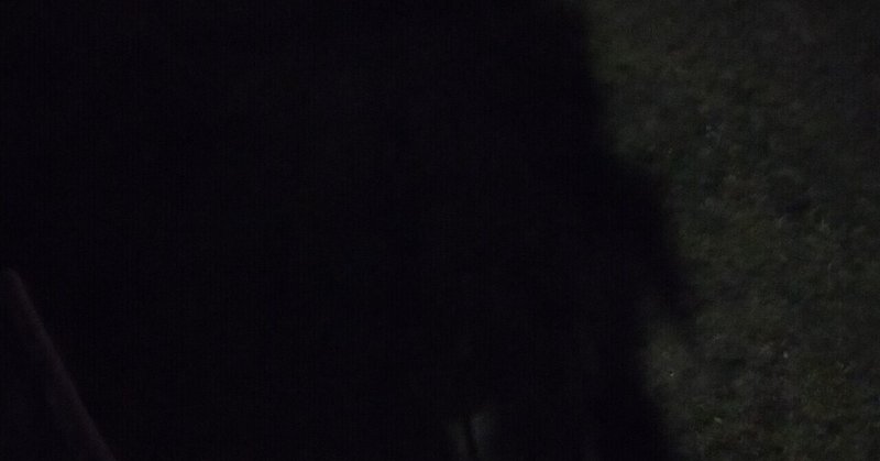 この愛は溢れて 電子の海の藻屑になる 杏仁豆腐 Note