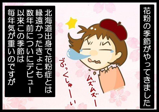 北海道の方は要注意 シラカバ花粉症って知ってますか 日常漫画 きょこ 漫画家 Apdだけど楽しく生きてます 仮 21年刊行予定 Note 北海道の方は要注意 シラカバ花粉症って知ってますか 日常漫画 きょこ 漫画家 Apdだけど楽しく生きてます 仮 21年刊行予定 Note
