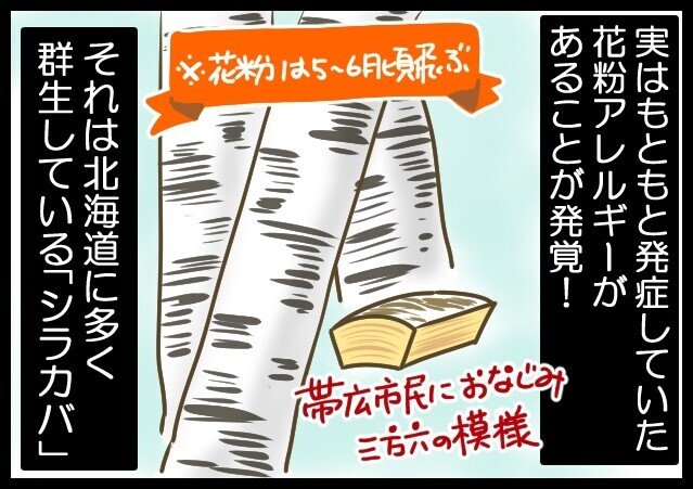 北海道の方は要注意 シラカバ花粉症って知ってますか 日常漫画 きょこ 漫画家 Apdだけど楽しく生きてます 仮 21年刊行予定 Note 北海道の方は要注意 シラカバ花粉症って知ってますか 日常漫画 きょこ 漫画家 Apdだけど楽しく生きてます 仮 21年刊行予定 Note