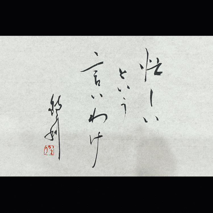 一日一書　忙しいという言いわけ　忙しいなと感じたら振り回されてる　楽しいと感じることに言い訳はない　忙しくてやりたいことができないことがないように#maedakamari #calligraphy #前田鎌利 #書 