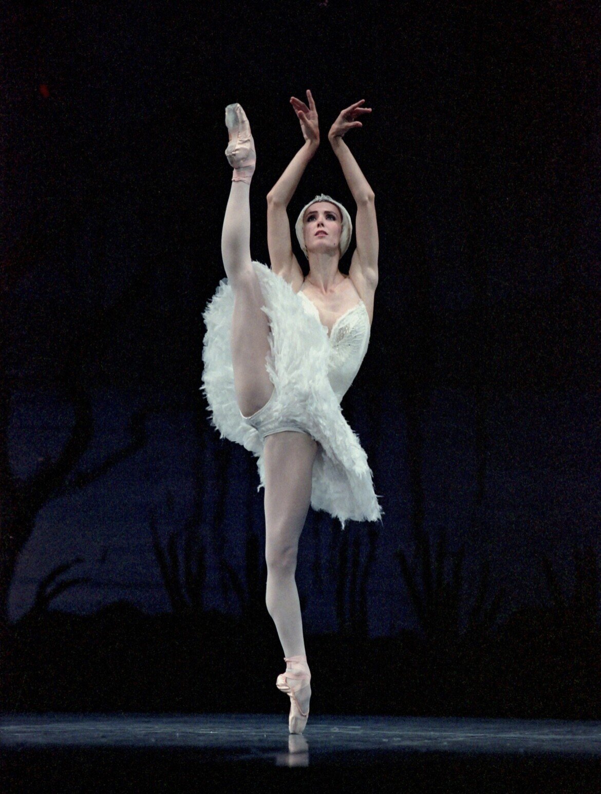 シルヴィギエム 進化する肉体への考察、常に疑問を持ち続けること｜HitomiM