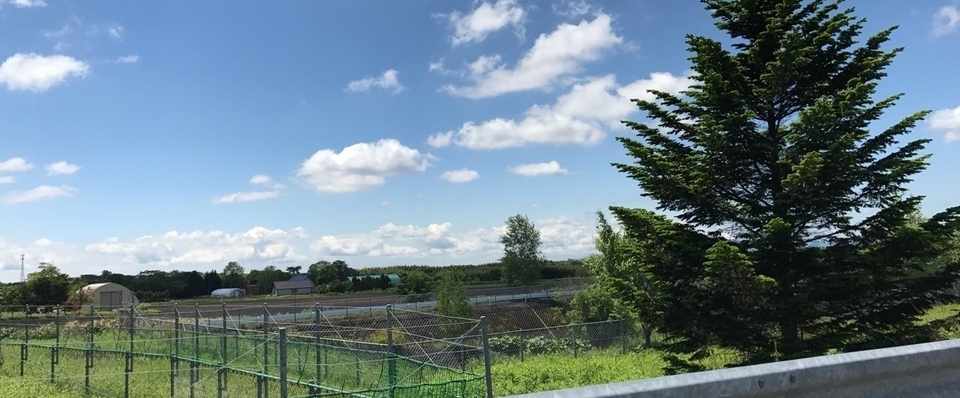 アロマのスクール 緑の大地