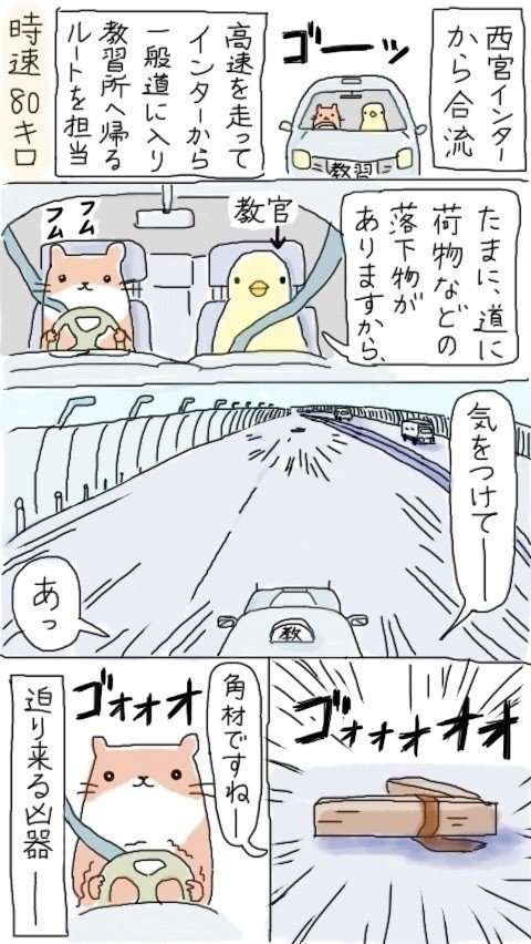 #マンガ #イラスト #カワウソ #教習 #高速道路 #危機 #落とし物 #あの地平線輝くのはどこかの君が落とした角材