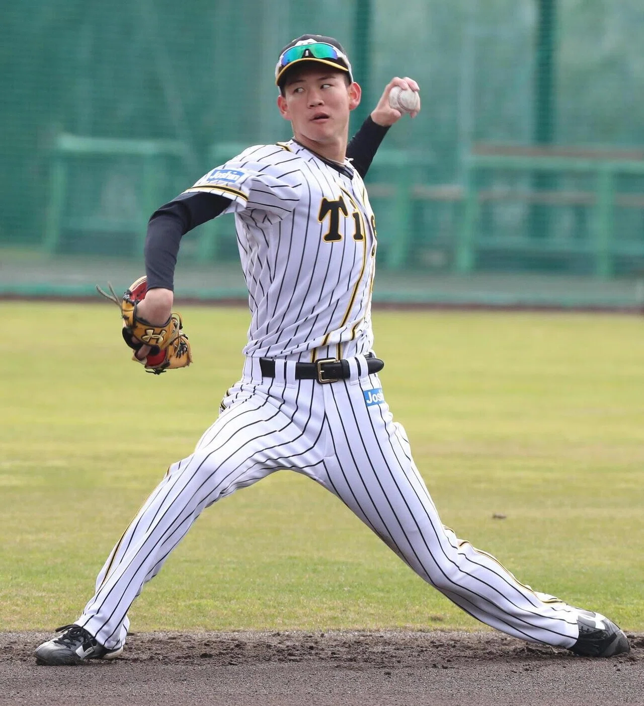 阪神タイガース選手名鑑21 投手編 しんたろう Note