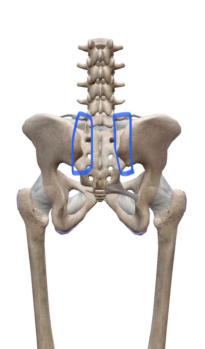 仙腸関節③