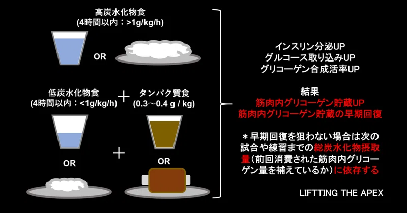 運動後 スポーツ後 の最適な糖質摂取 炭水化物 に関する最新の科学的知見 シリーズ 炭水化物摂取の大枠 Lifting The Apex Note