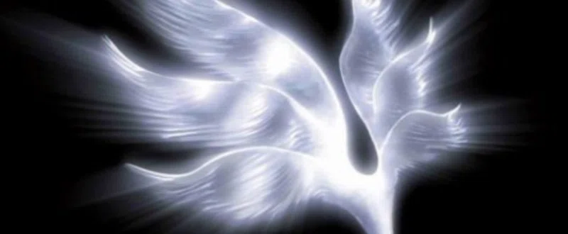 Bump Of Chickenと村上春樹が似たようなこと言ってた 心理学博士ちょっぺ 先生 Note