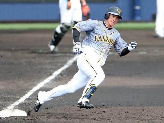 阪神タイガース選手名鑑21 野手編 しんたろう Note