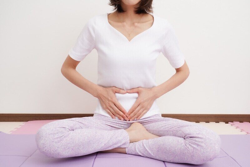 内臓の位置を元に戻すだけ 心と感情の知られざる関係 ユキルナ Note