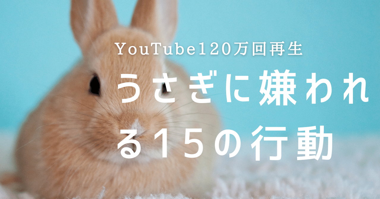 Youtube1万回再生 うさぎに嫌われる15の行動 前編 モフ尻ライターたなか Note Youtube1万回再生 うさぎに嫌われる15の行動 前編 モフ尻ライターたなか Note