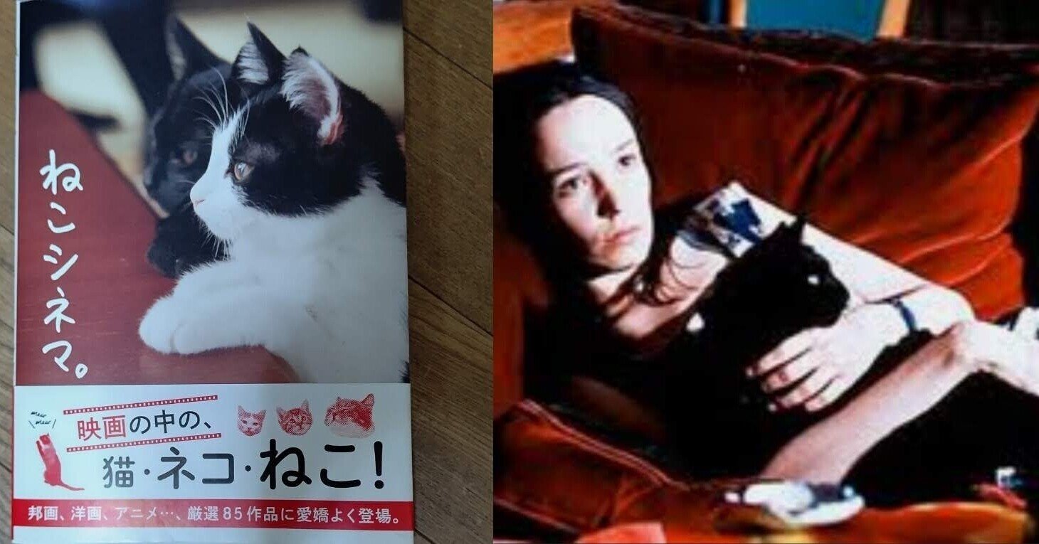 ねこシネマ って本のことと 猫が行方不明 って映画の話題 涼222 Note