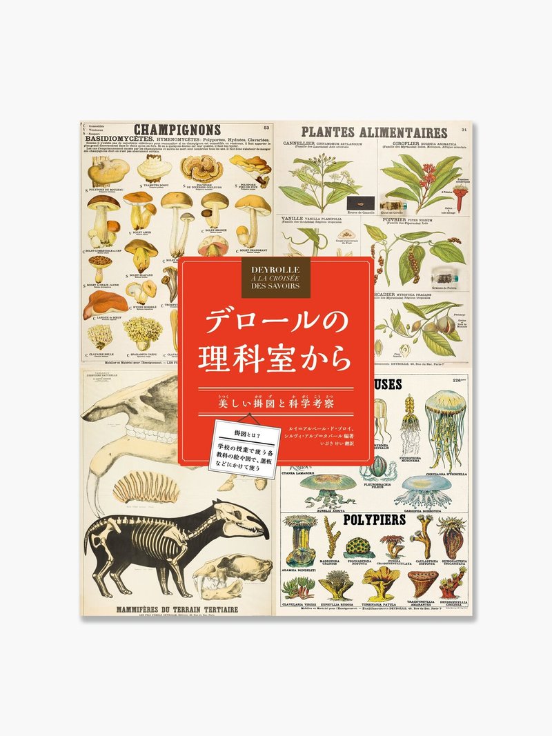 Vol 18 デロールの理科室から とりたち Note Vol 18 デロールの理科室から とりたち Note