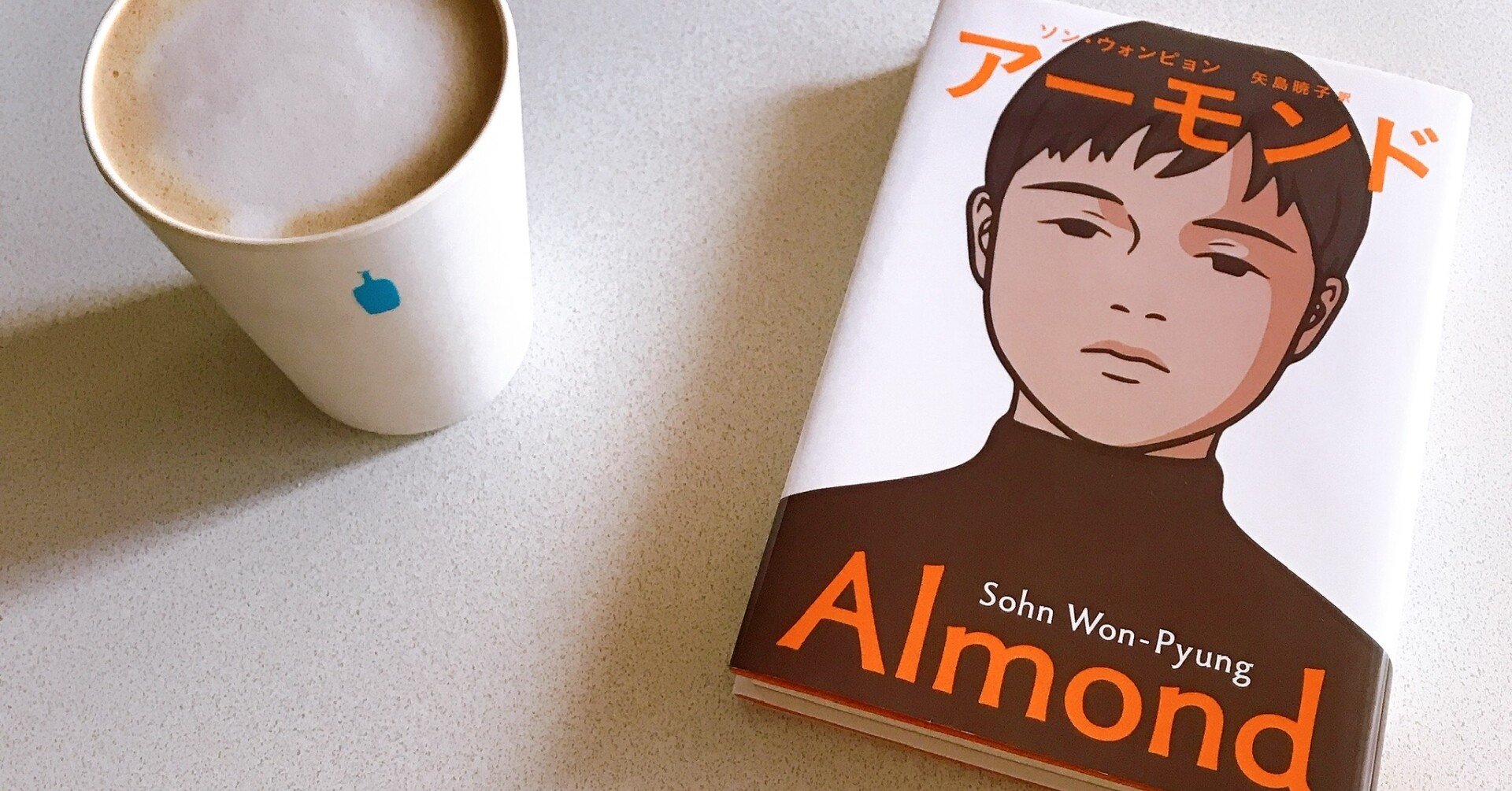 韓国文学「アーモンド」の表現方法があまりに美しかったので、まとめて