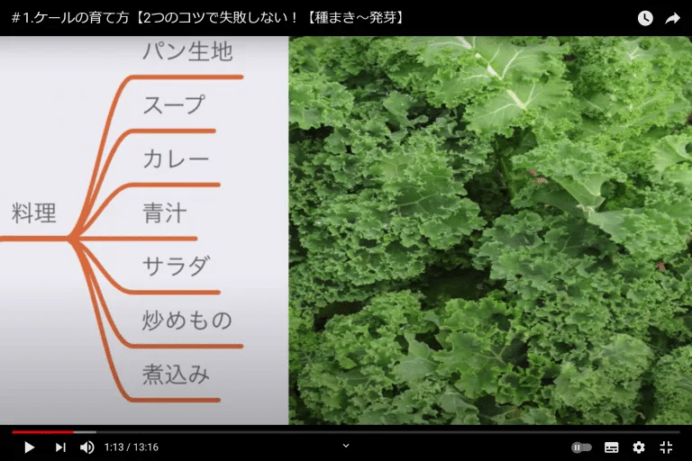 ケールの育て方 2つのコツで失敗しない 種まき 発芽 井上寅雄農園 井上隆太朗 Note