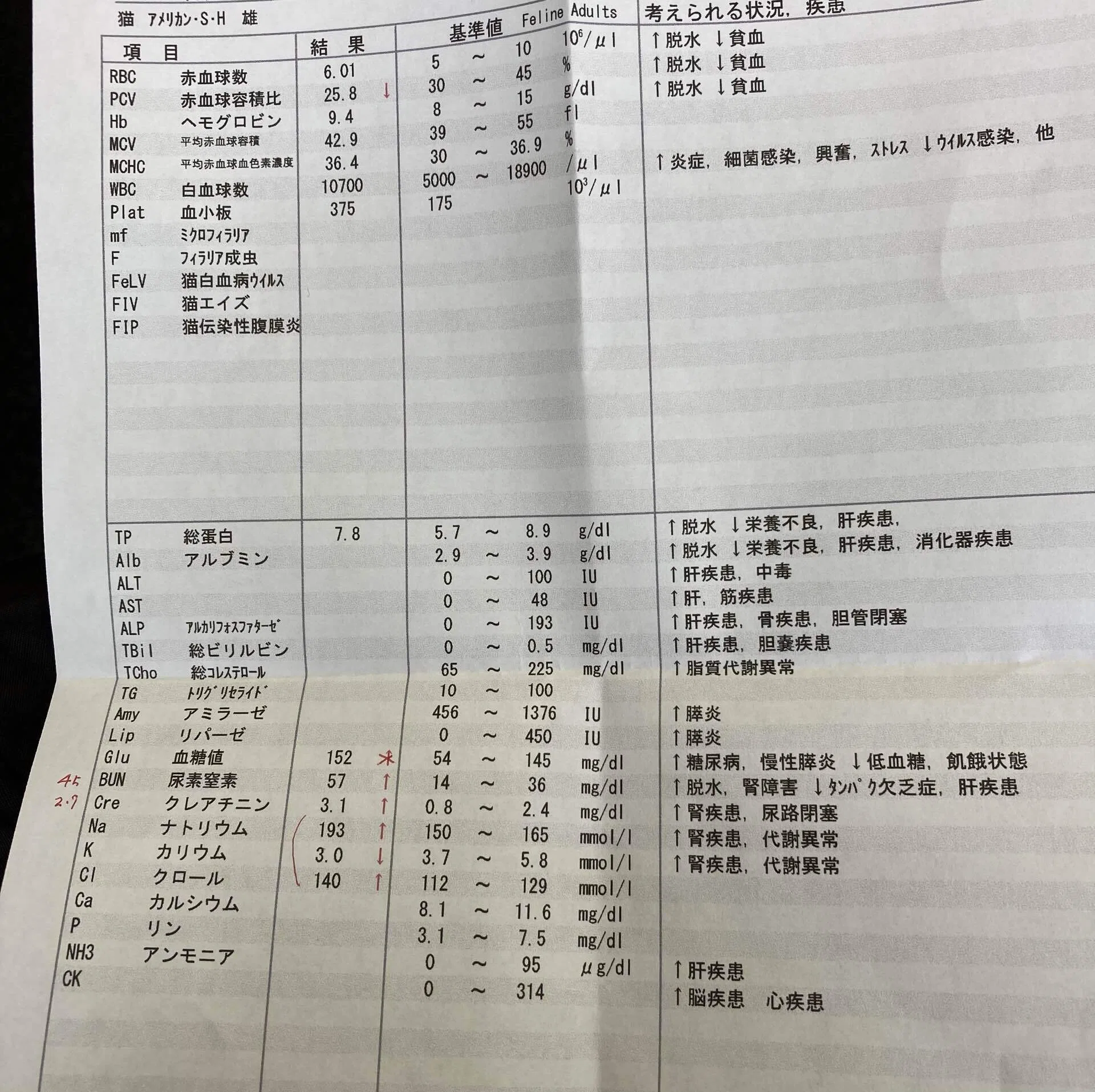 ルークの腎臓の数値がu2049️|meguchan28|note